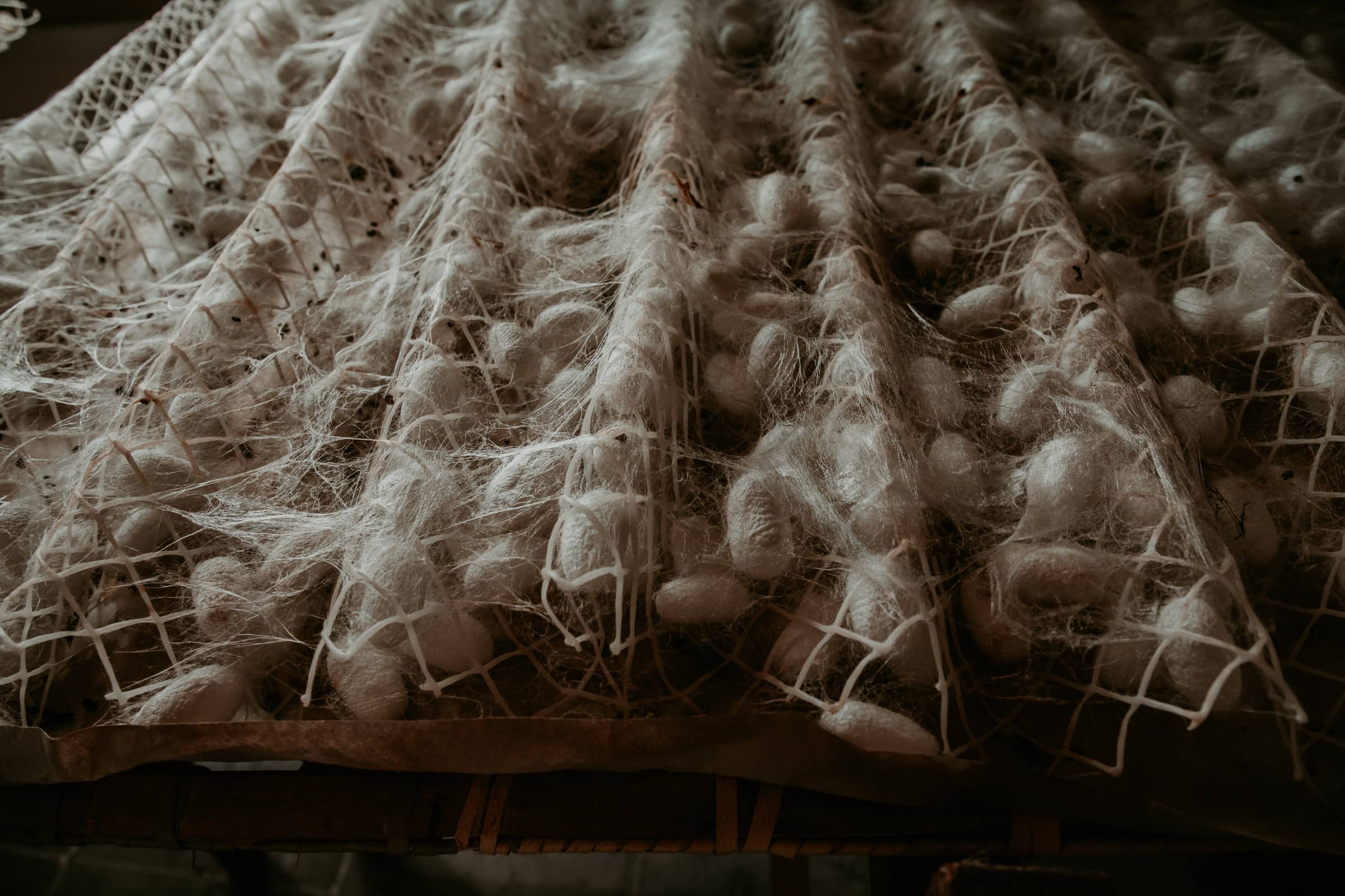 Suzhou Sehenswürdigkeiten Seidenfabrik Seidenraupen Kokons