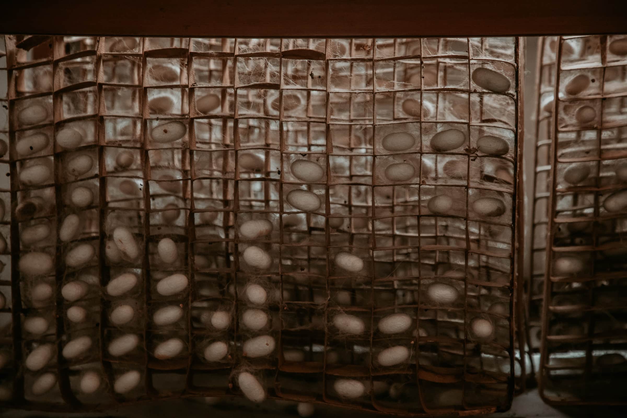 Suzhou Sehenswürdigkeiten Seidenfabrik Kokons der Seidenraupen