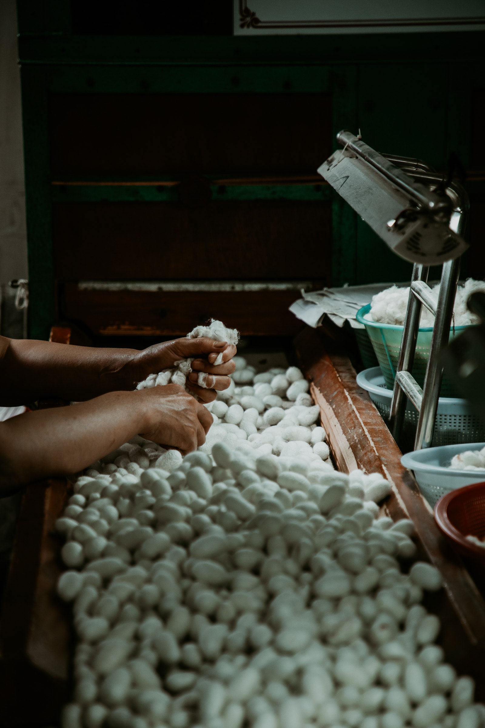 Suzhou Sehenswürdigkeiten Seidenfabrik Kokons Seidenraupe