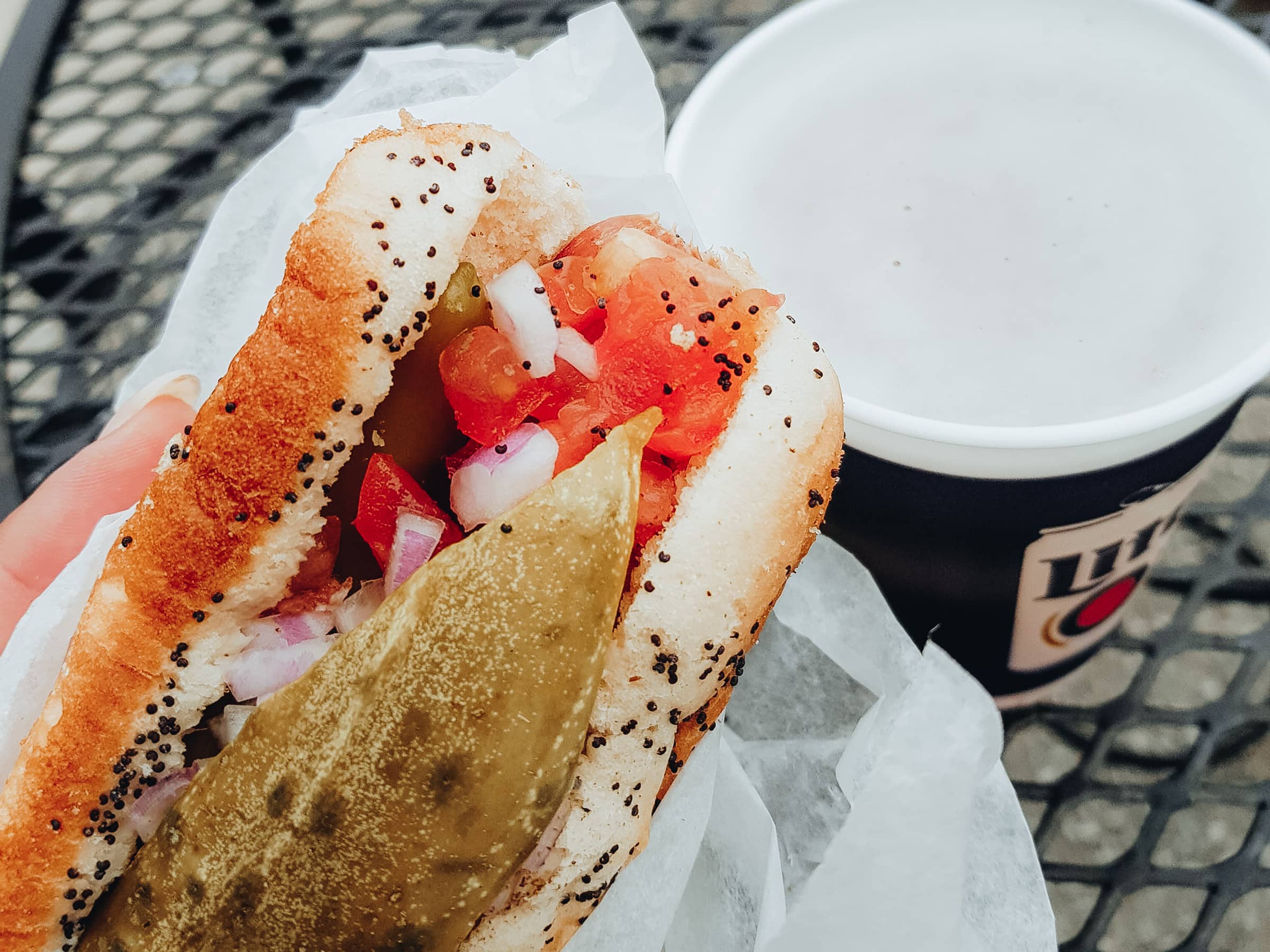 Chicago Sehenswürdigkeiten Chicago Hot Dog am Navy Pier