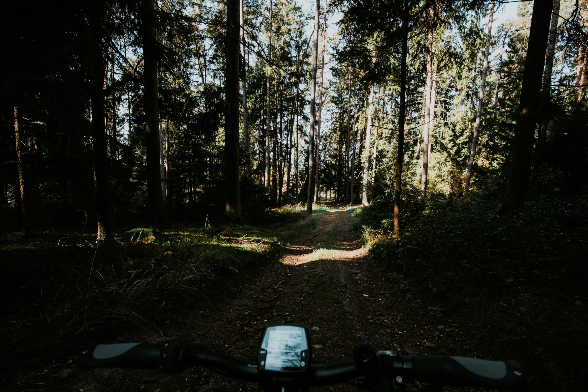 Mountainbike fahren im Wald in Niederbayern