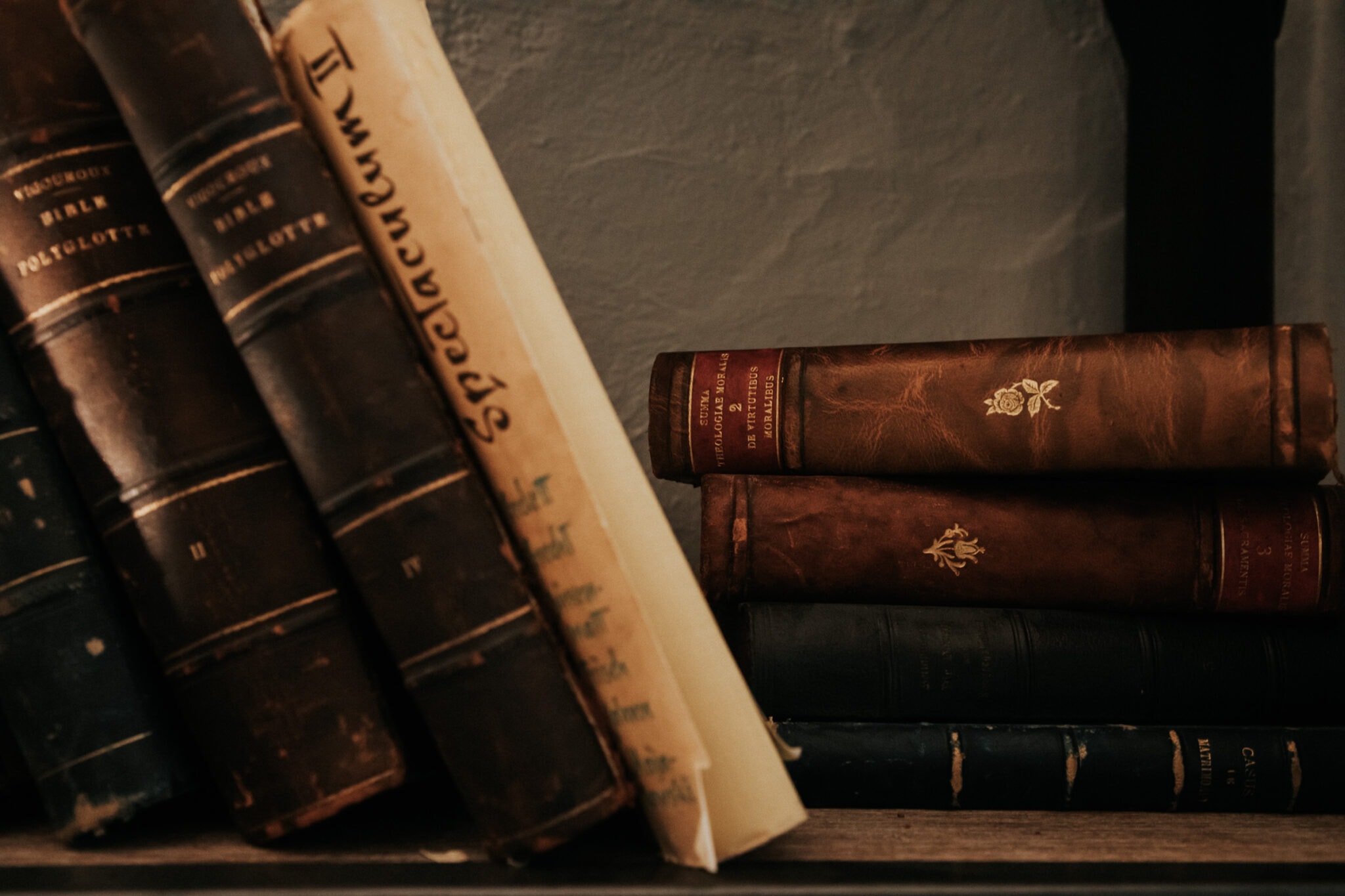 Bücherregal in der Lounge Schlossparkhotel Mariakirchen Wellness Bayern