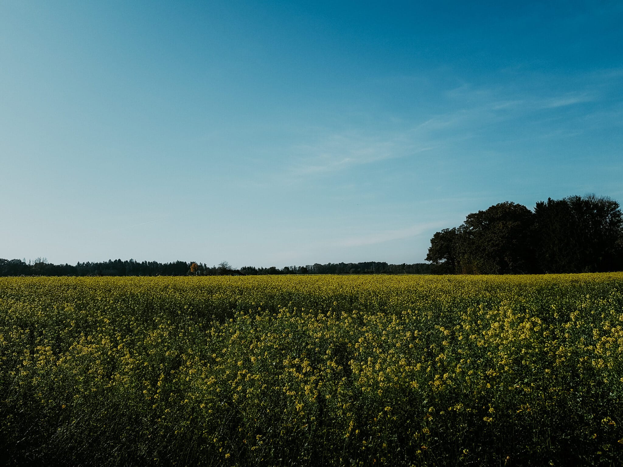 Wellness auf dem Land in Bayern