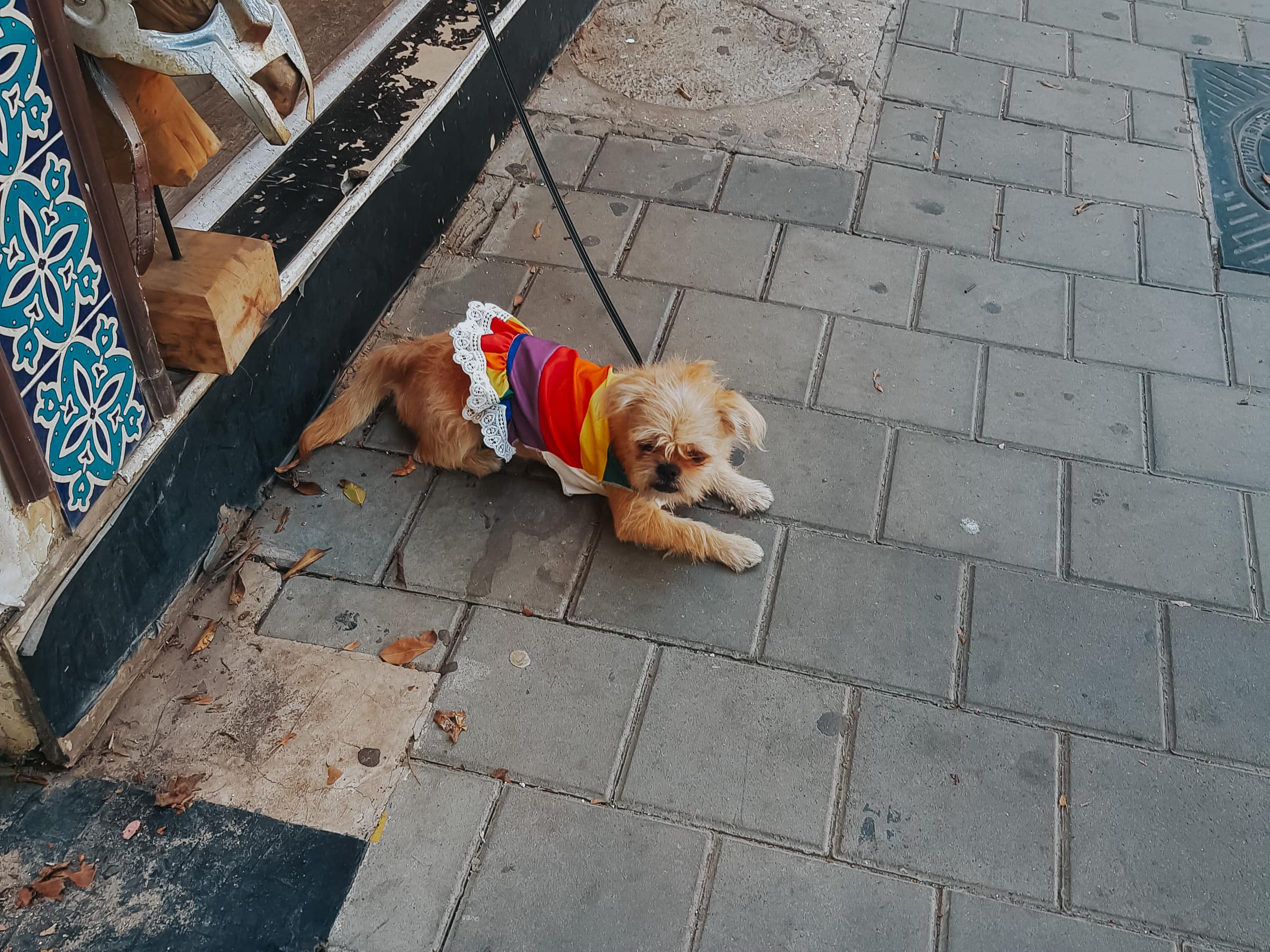 Tel Aviv Sehenswürdigkeiten Gay Pride