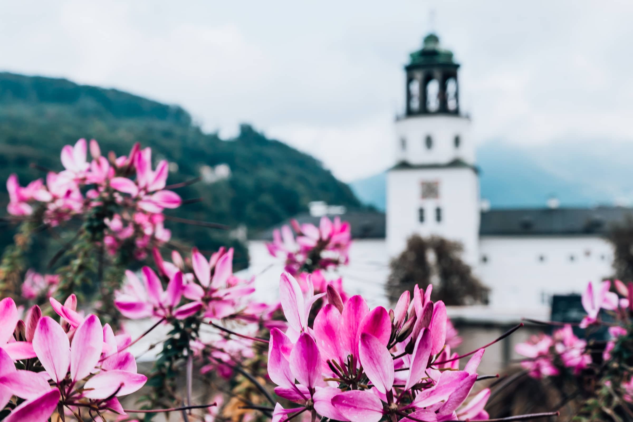 Salzburg Sehenswürdigkeiten Salzburg Museum in der Neuen Residenz