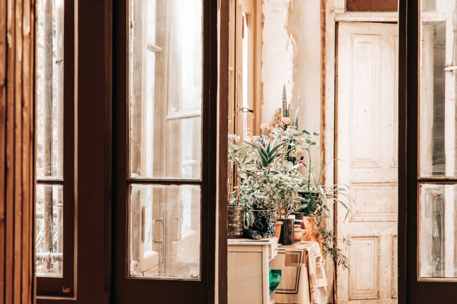 Reiseführer für Georgien mit Reisetipps