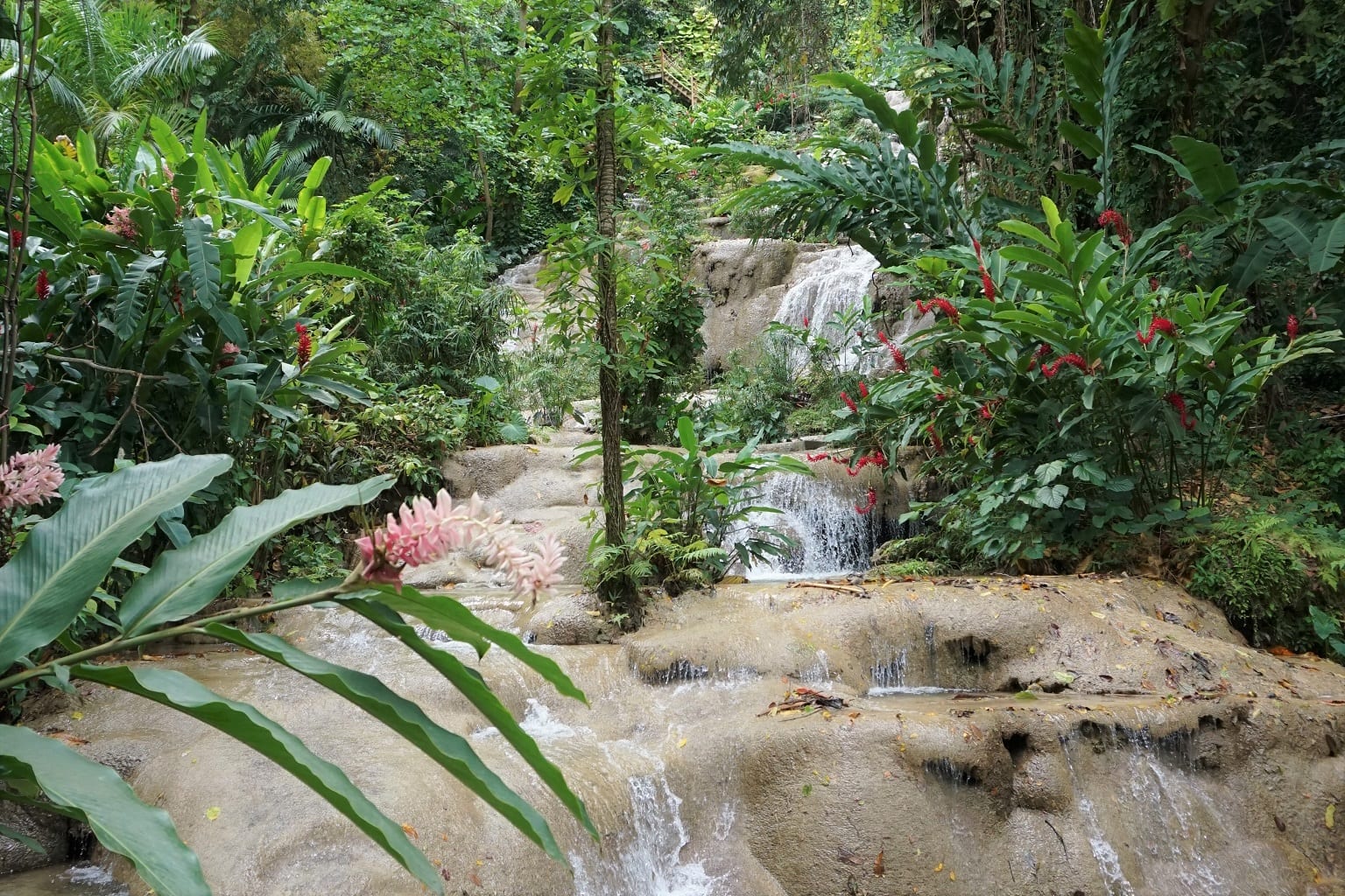 Jamaika Sehenswürdigkeiten Kono Falls und Park Ocho Rios