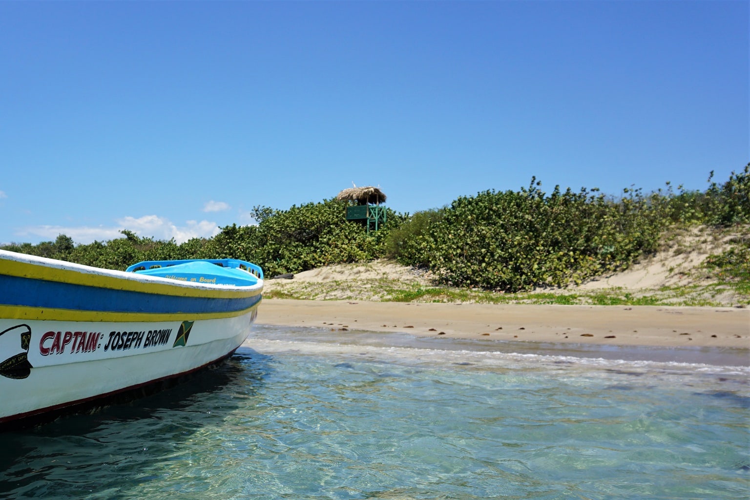 Jamaika Sehenswürdigkeiten Seagrape
