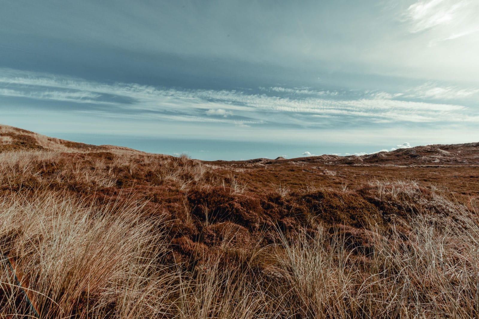 Dünen im Klappholtal auf Sylt zwischen Kampen und List