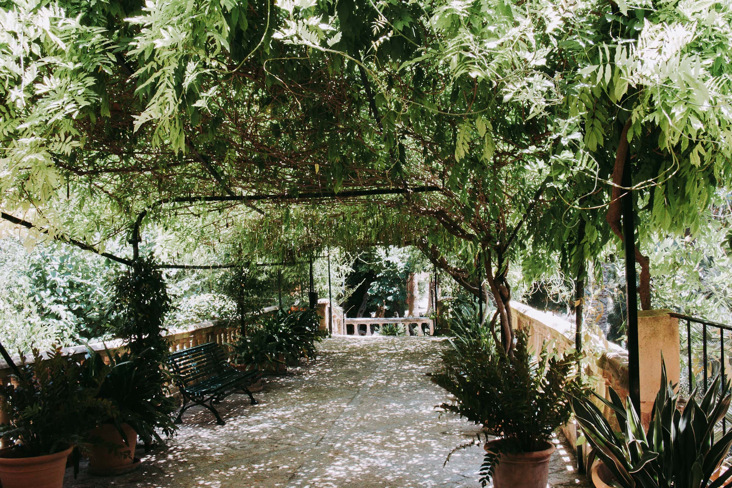 Laubengang mit vielen Pflanzen Gärten von Alfabia Mallorca