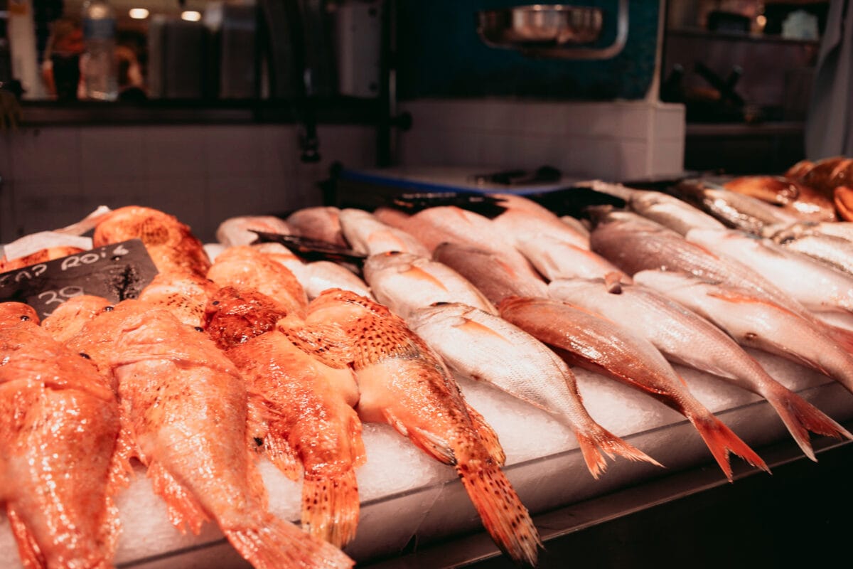 Frischer Fisch auf Mallorca