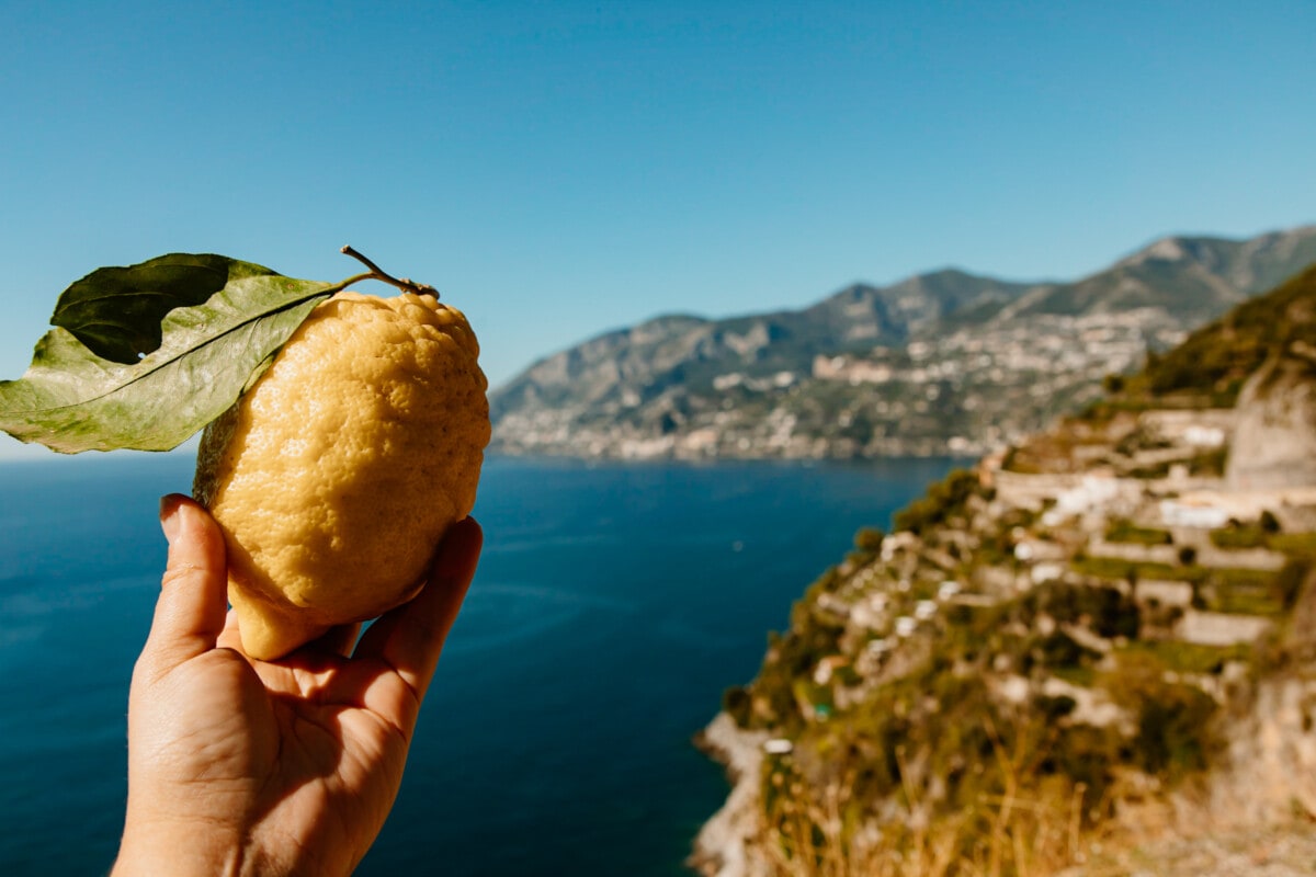Amalfiküste Sehenswürdigkeiten Zitronen an der Küstenstraße Amalfitana