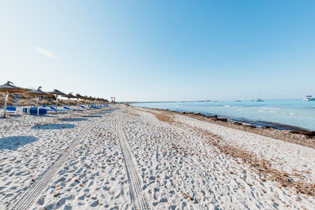 Es Trenc ab Ses Covetes Mallorca morgens