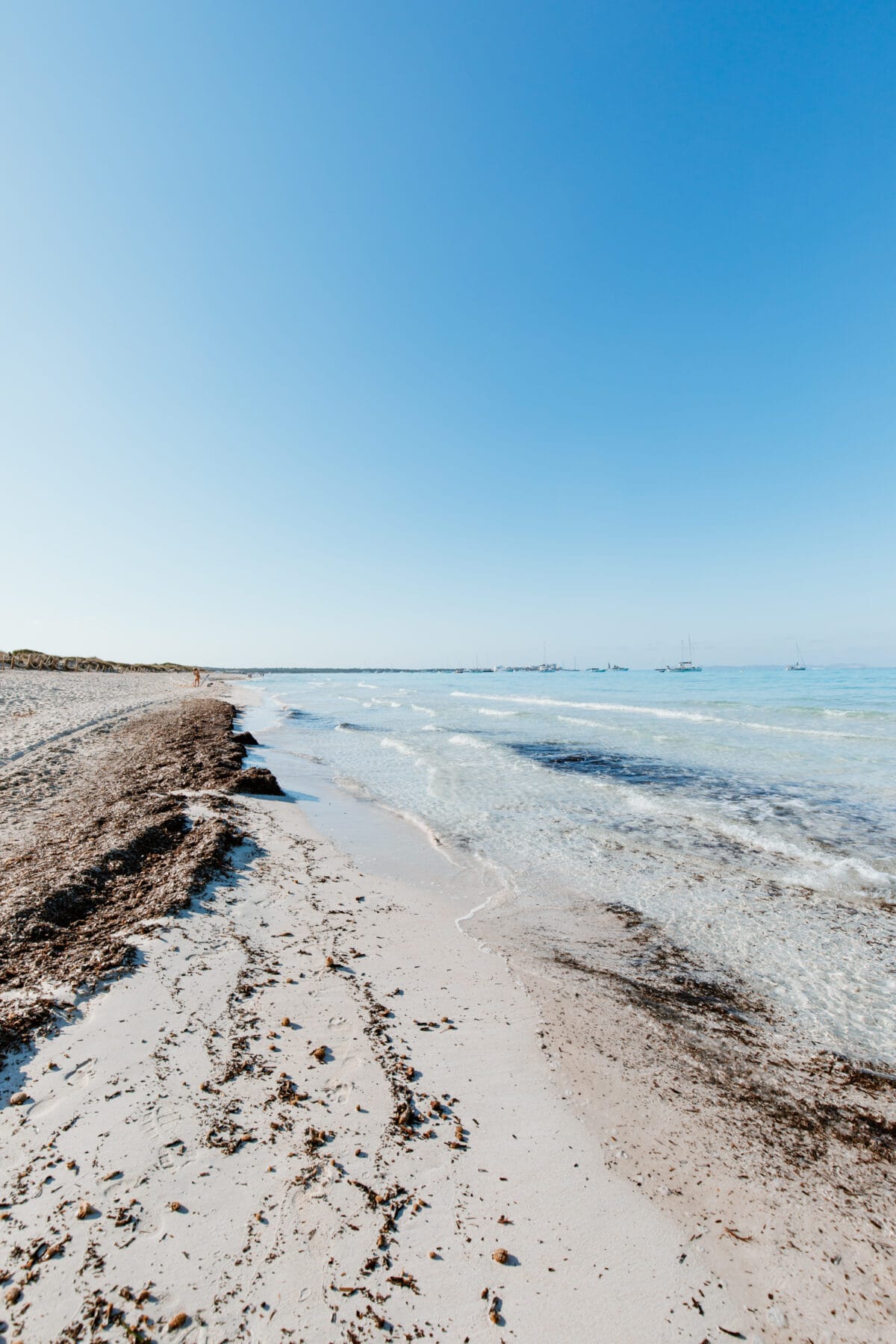 Posidonia Seegras am Strand von Es Trenc in Mallorca