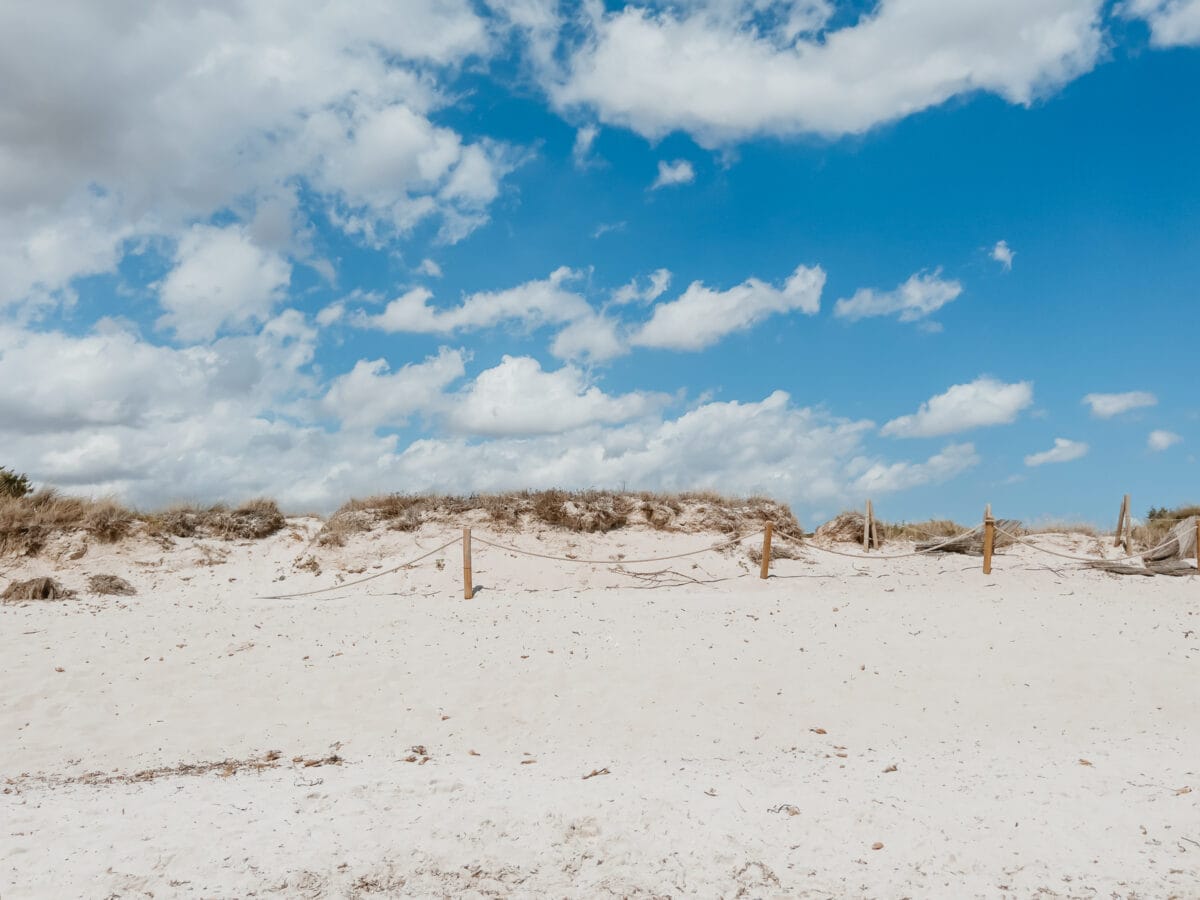 Naturschutzgebiet mit Dünen in Es Trenc Mallorca