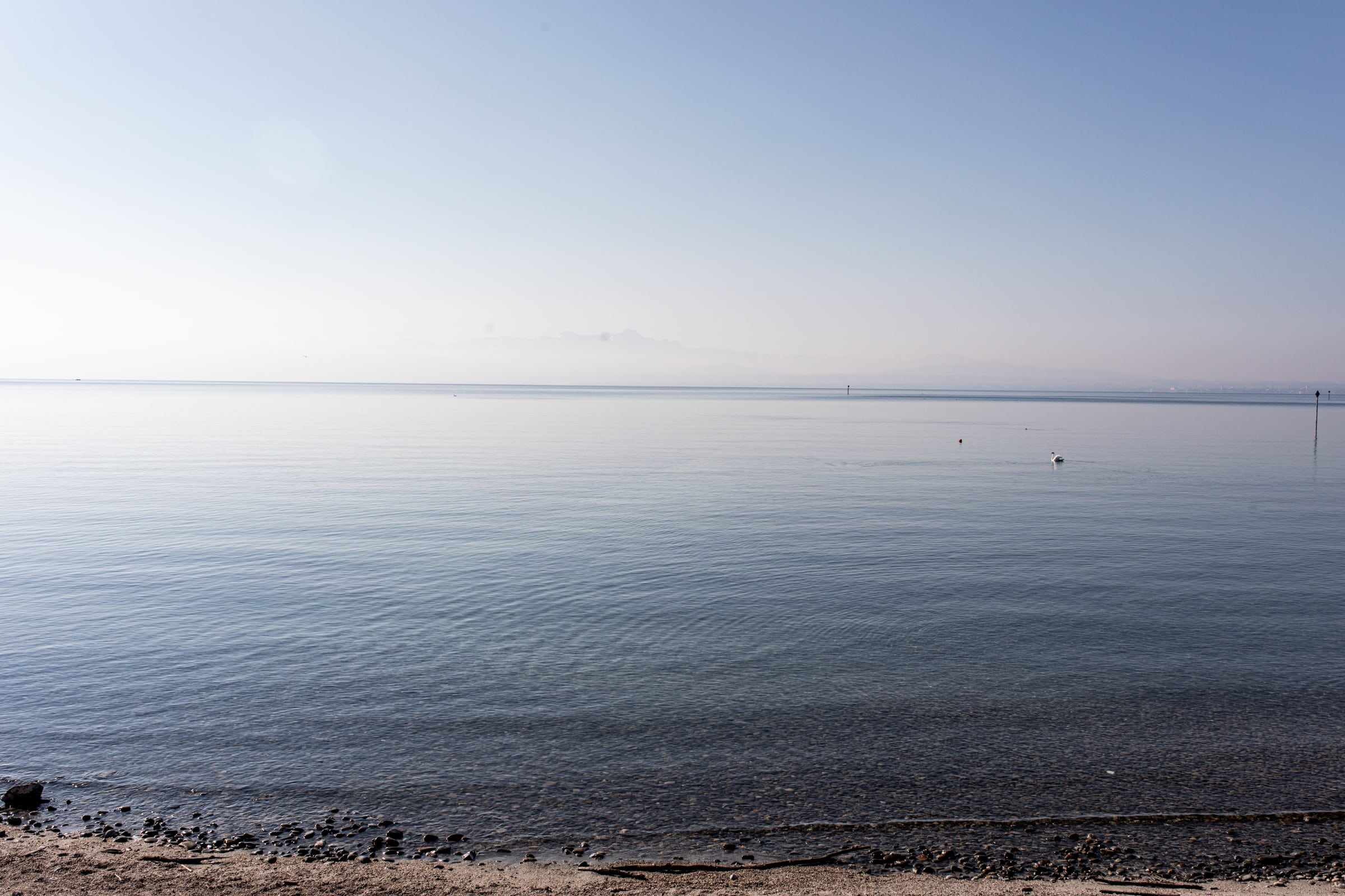Friedrichshafen Sehenswürdigkeiten Bodensee mit Alpen
