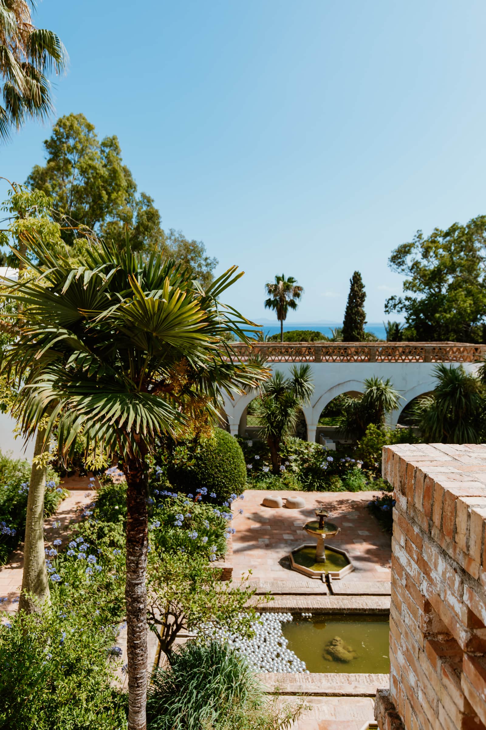 Museo Sa Bassa Blanca bei Alcudia Mallorca mit Meerblick und Palmen