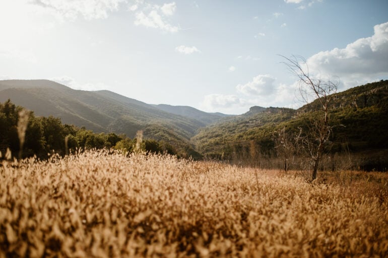 Katalonien Geheimtipps: Roadtrip durchs Hinterland