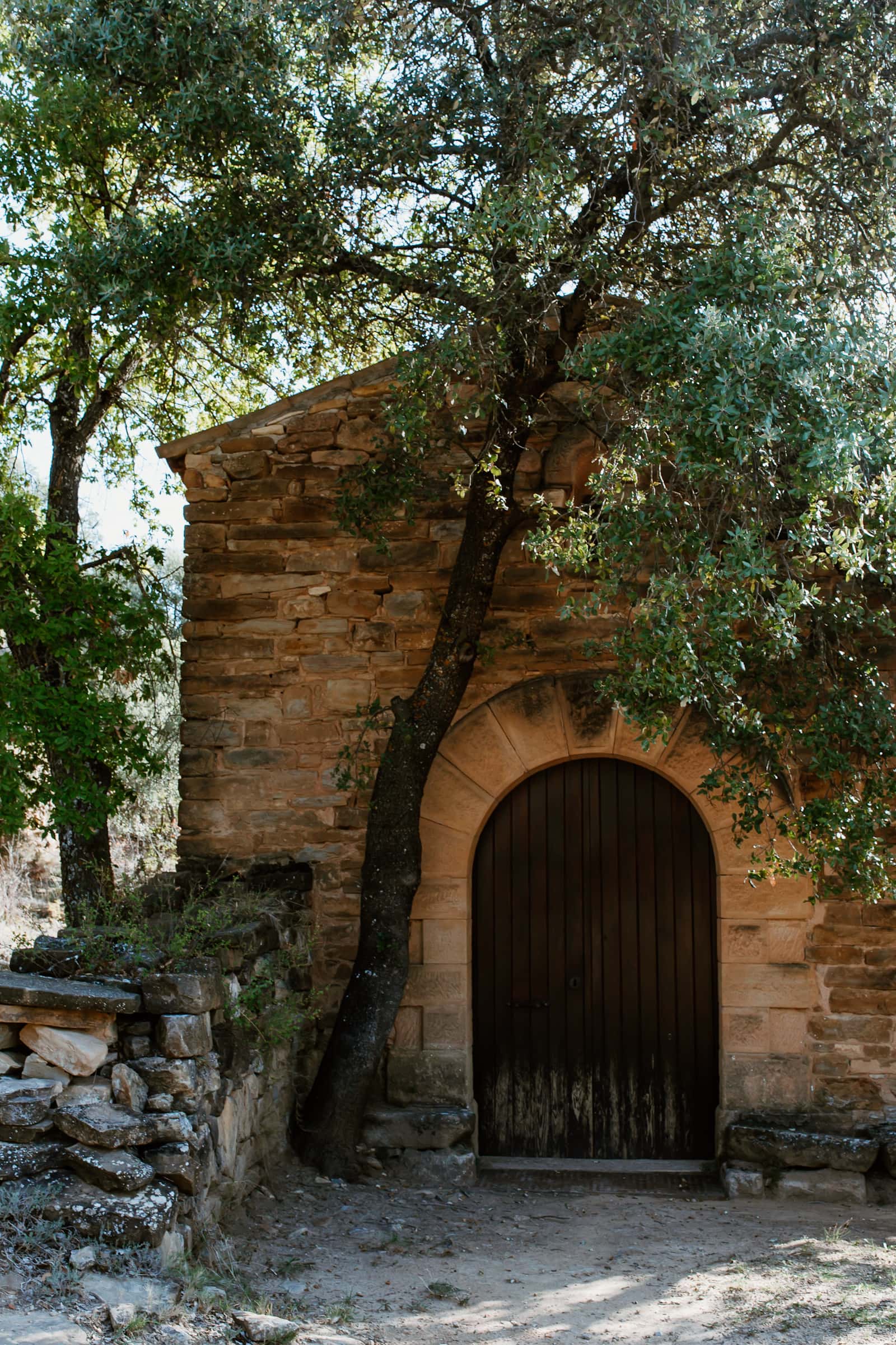 Castell d'Encus Weinanbau in Katalonien
