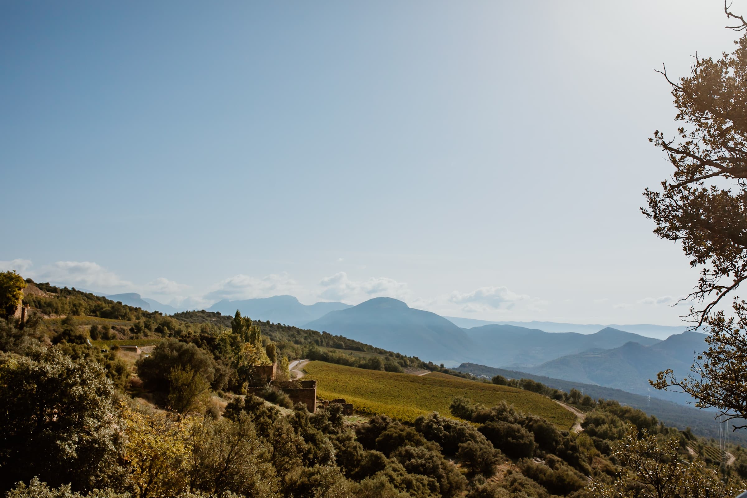 Castell d'Encus Weinanbau in Katalonien