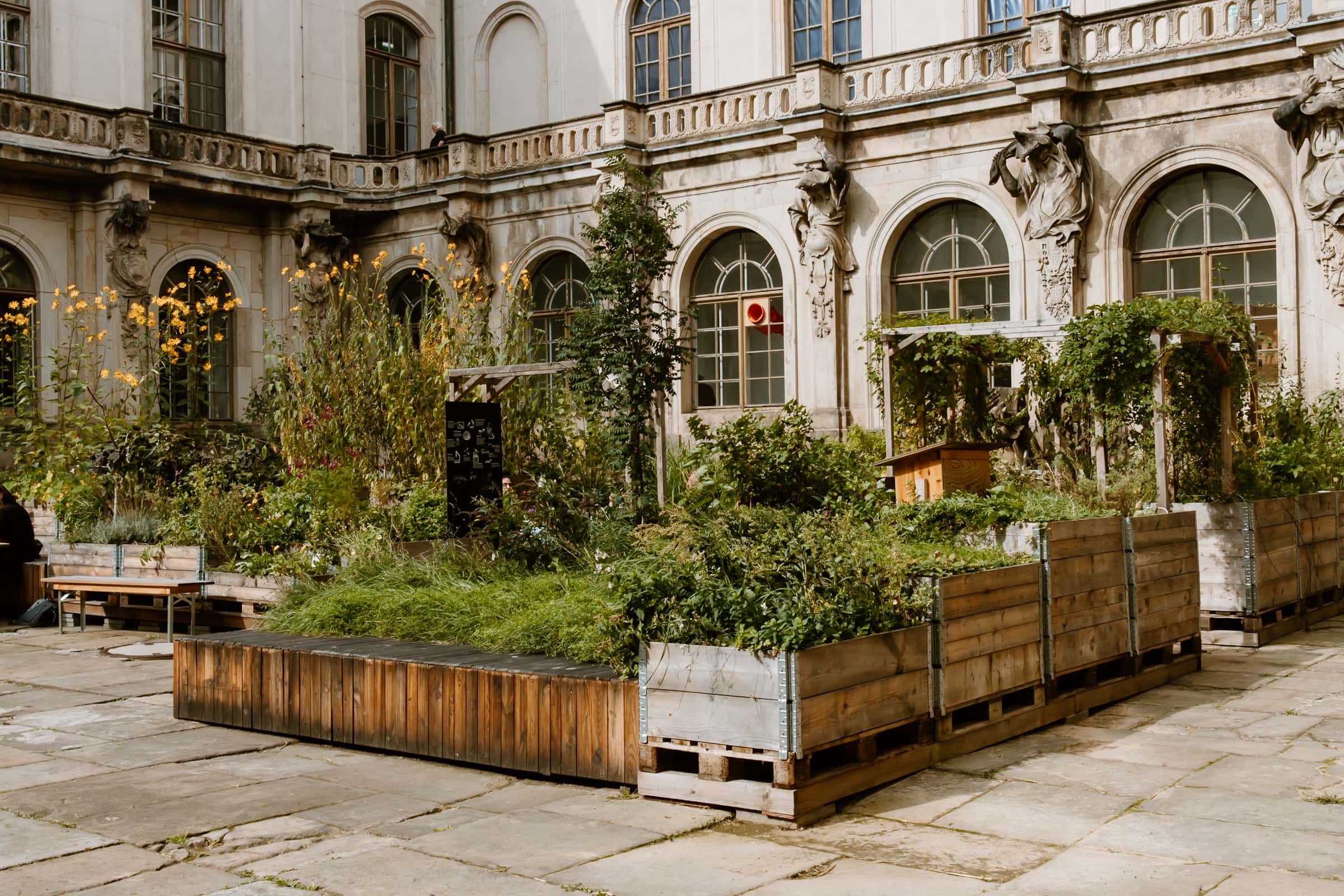 Café im Japanischen Palais in Dresden mit GArten im Innenhof