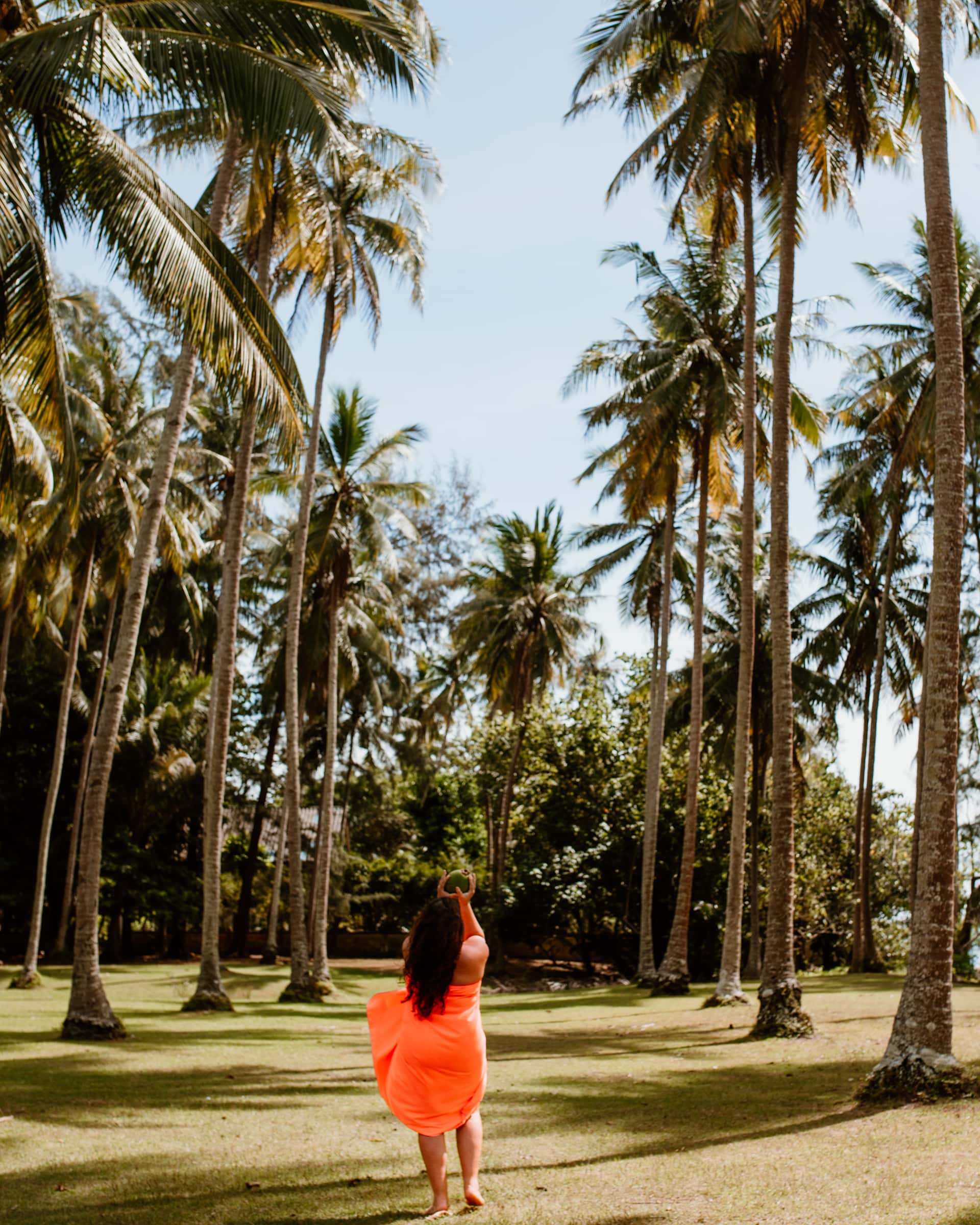 The Happy Jetlagger zwischen hohen Kokosnusspalmen auf Ko Siboya in Thailand