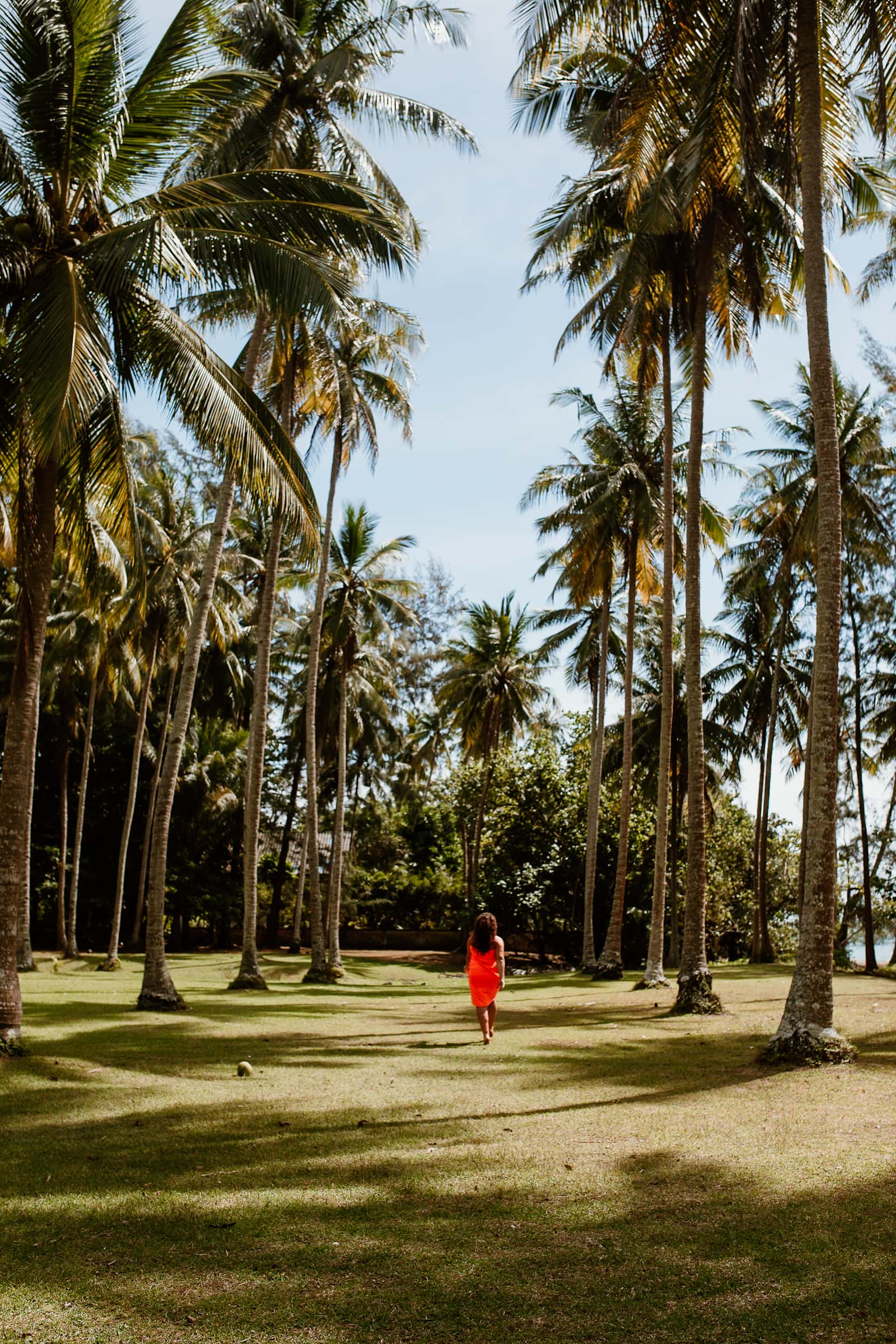 Woman between tall coconut palms on Ko Siboya in Thailand