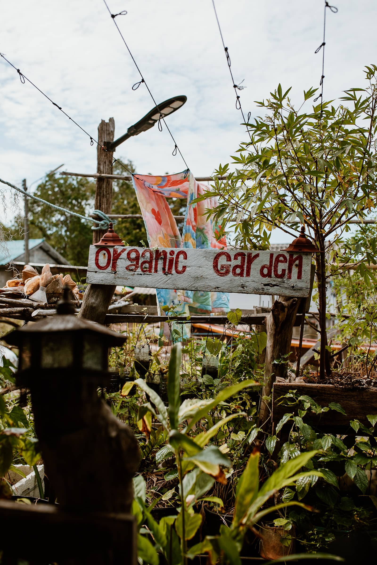 Mr Boy Café mit Organic Garden in Koh Jum Thailand