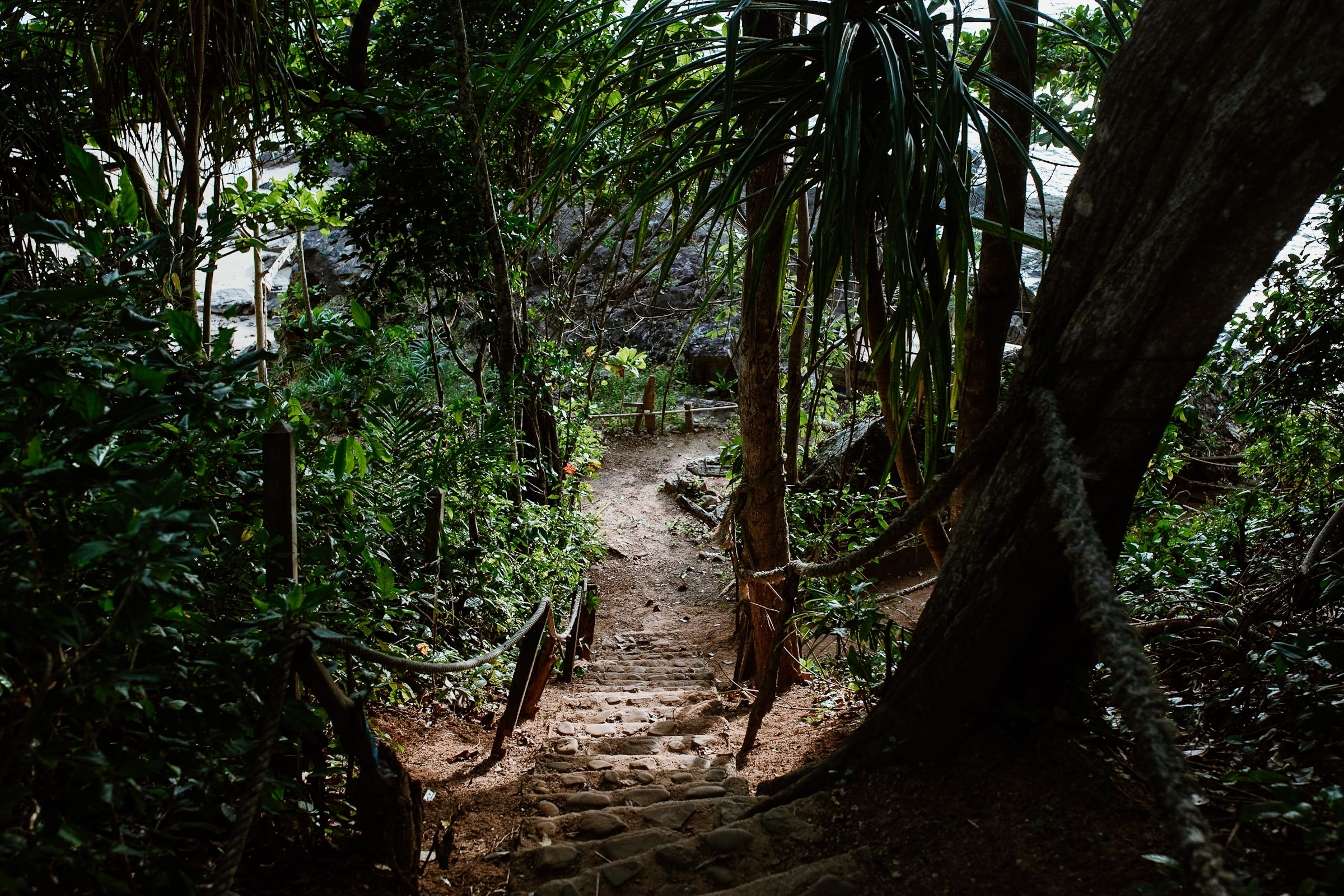 Versteckte Treppe durch den Dschungel zur Rock Bar in Koh Jum in Thailand