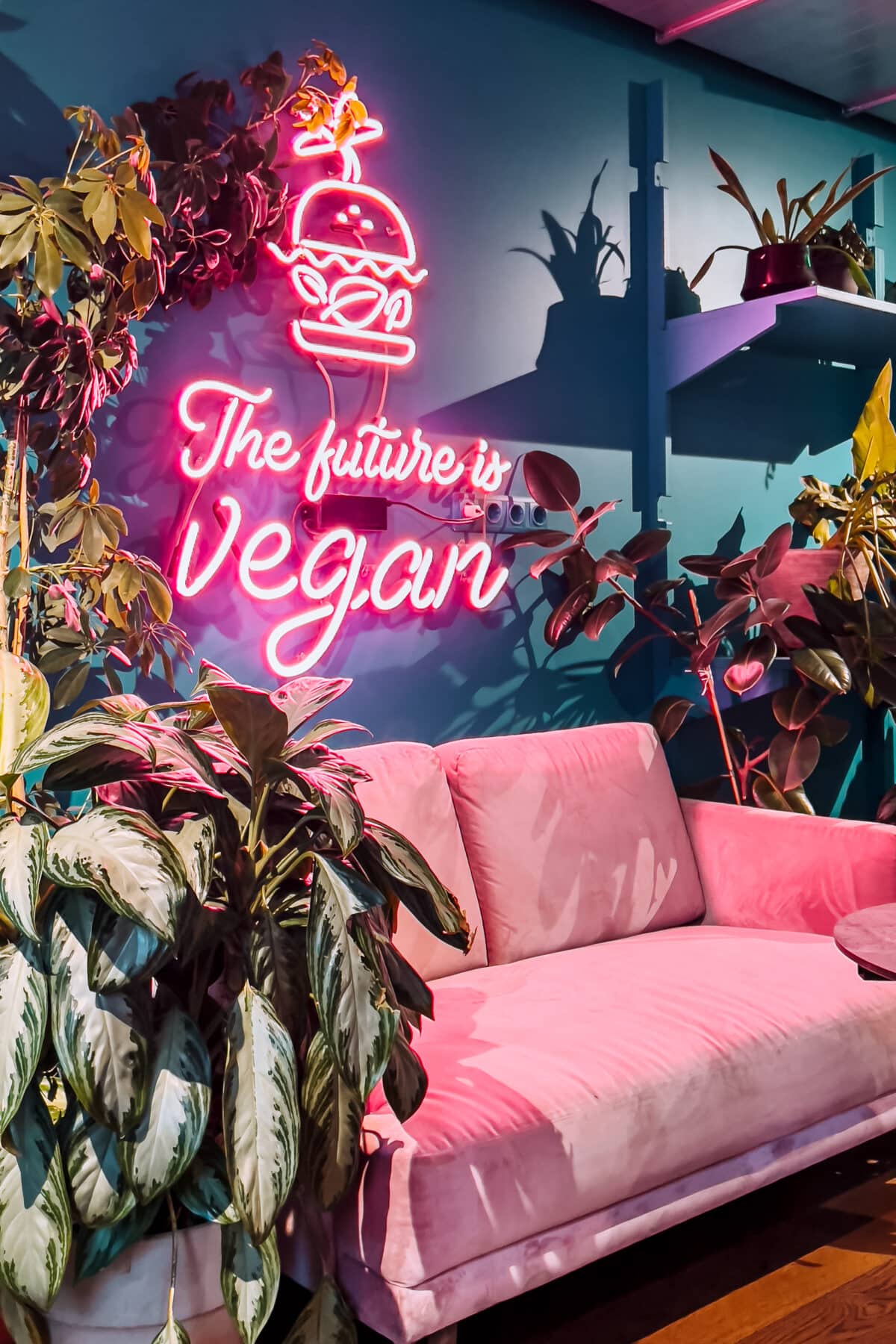 Rosehip Vegan in Vilnius