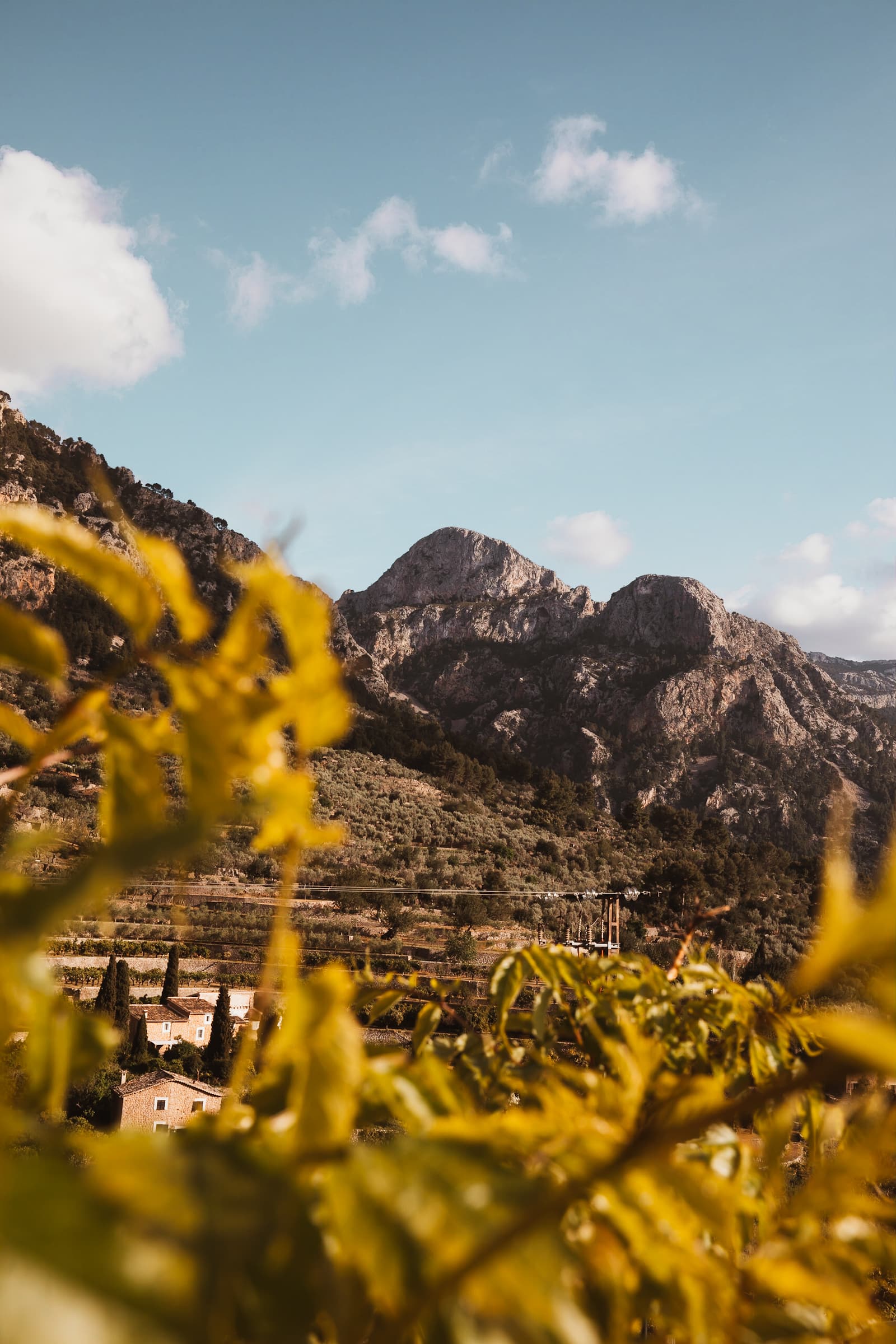 Mallorca Sehenswürdigkeiten Aussicht auf Serra Tramuntana