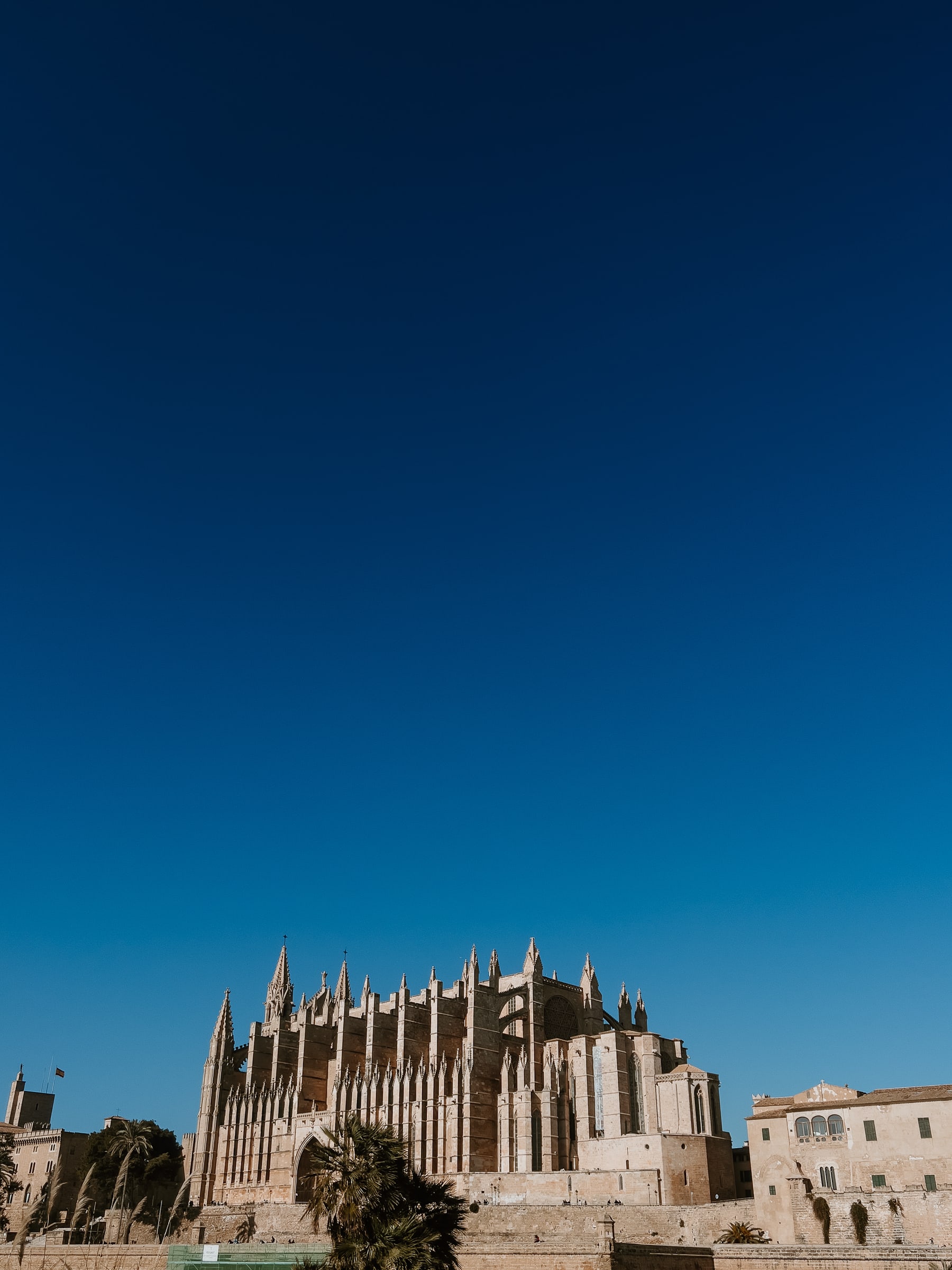 Mallorca Sehenswürdigkeiten Kathedrale La Seu in Palma von Parc de la Mar aus
