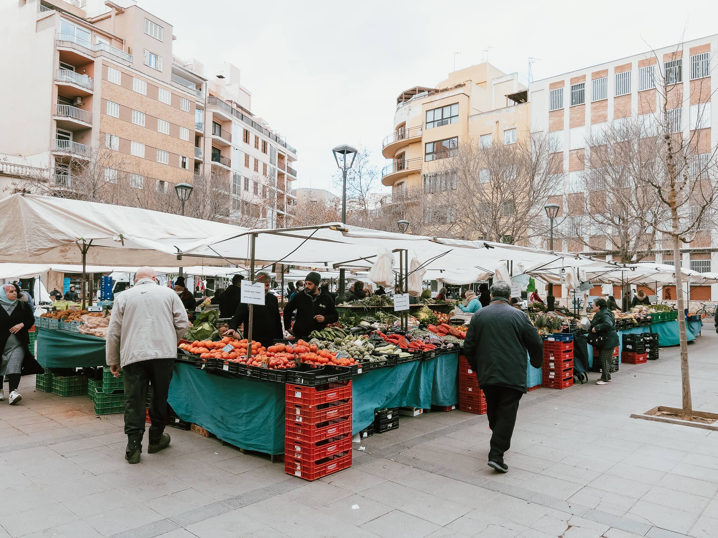 Markt in Palma: Mercat Pere Garau draußen