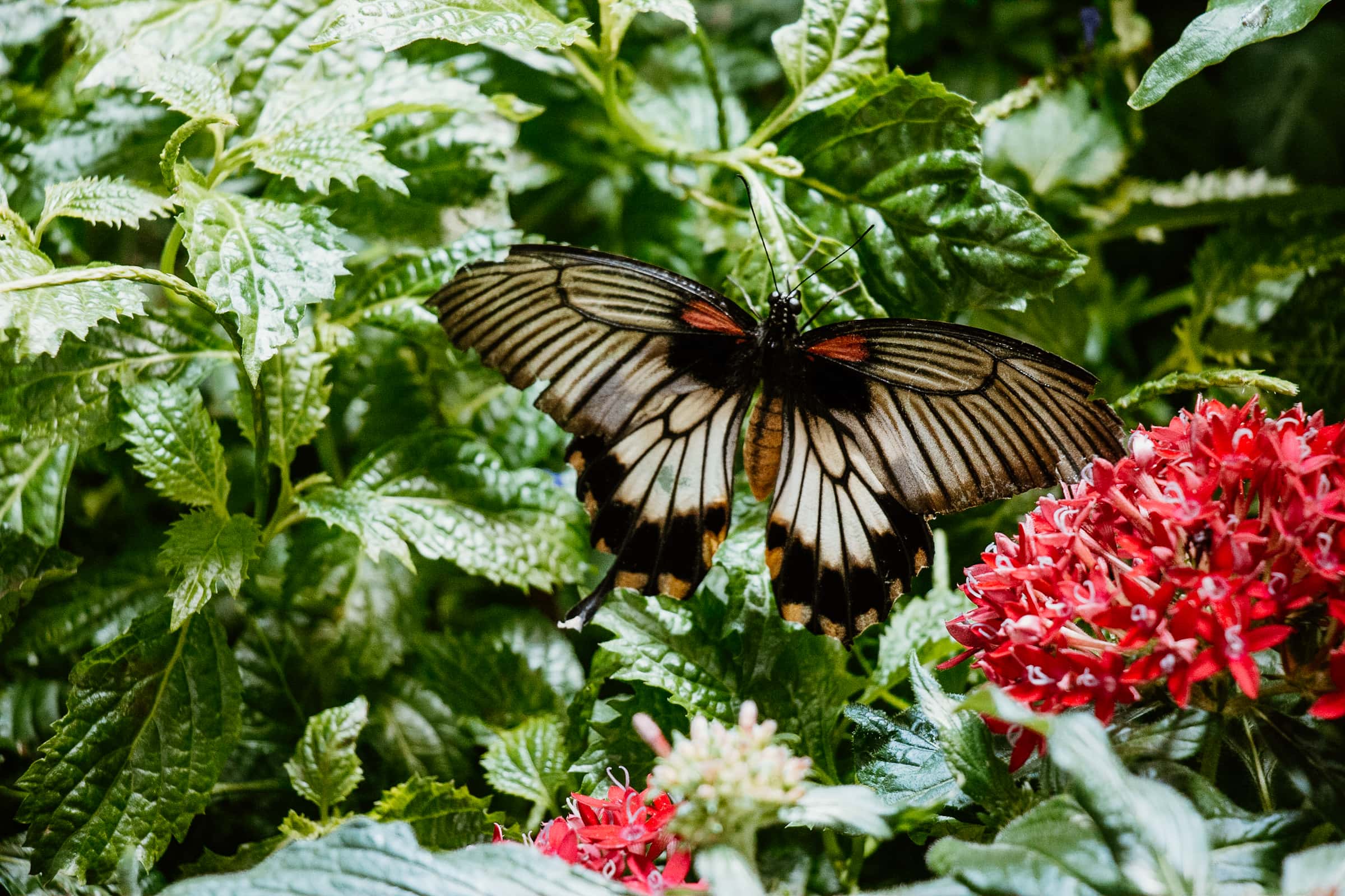 Things to do in Washington DC