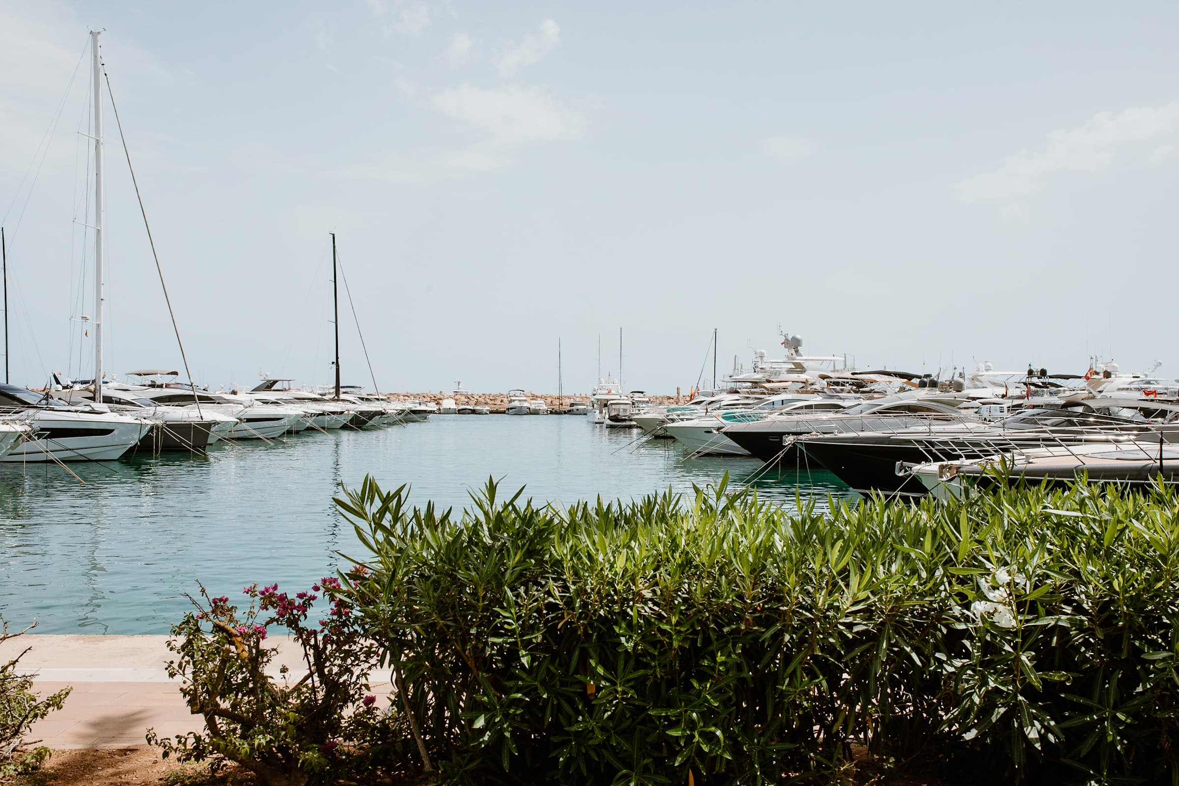 Blick auf den Yachthafen Puerto Portals bei Portals Nous auf Mallorca, mit einigen vertäuten Yachten, deren Masten in den Himmel ragen, umrahmt von üppigem grünen Laub im Vordergrund