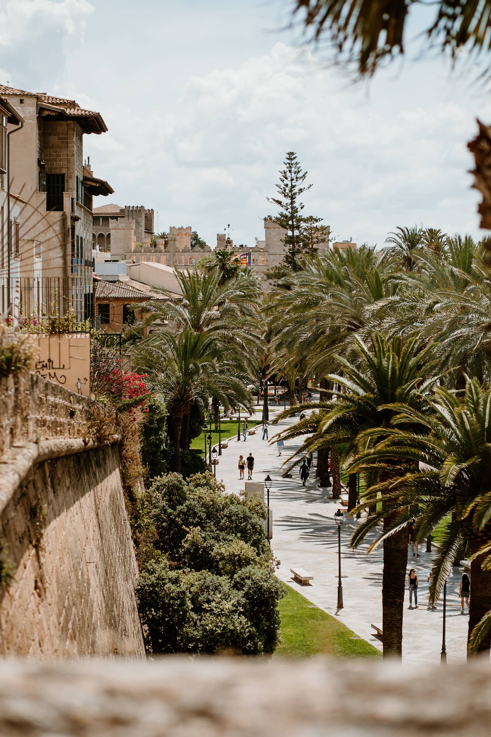 Palma Aussicht vom Museum Es Baluard