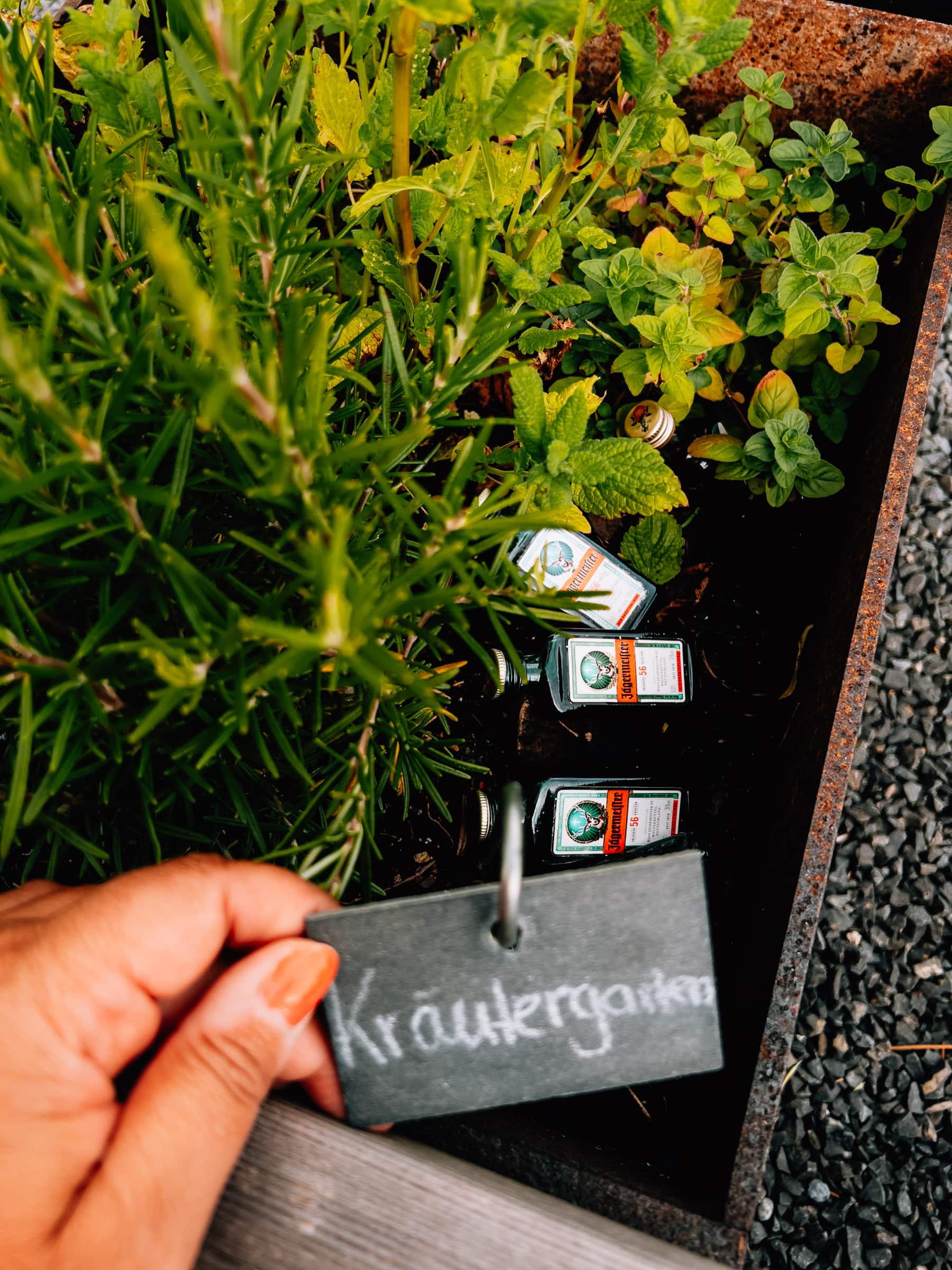 Kräutergarten in den Naturlodges Edersee