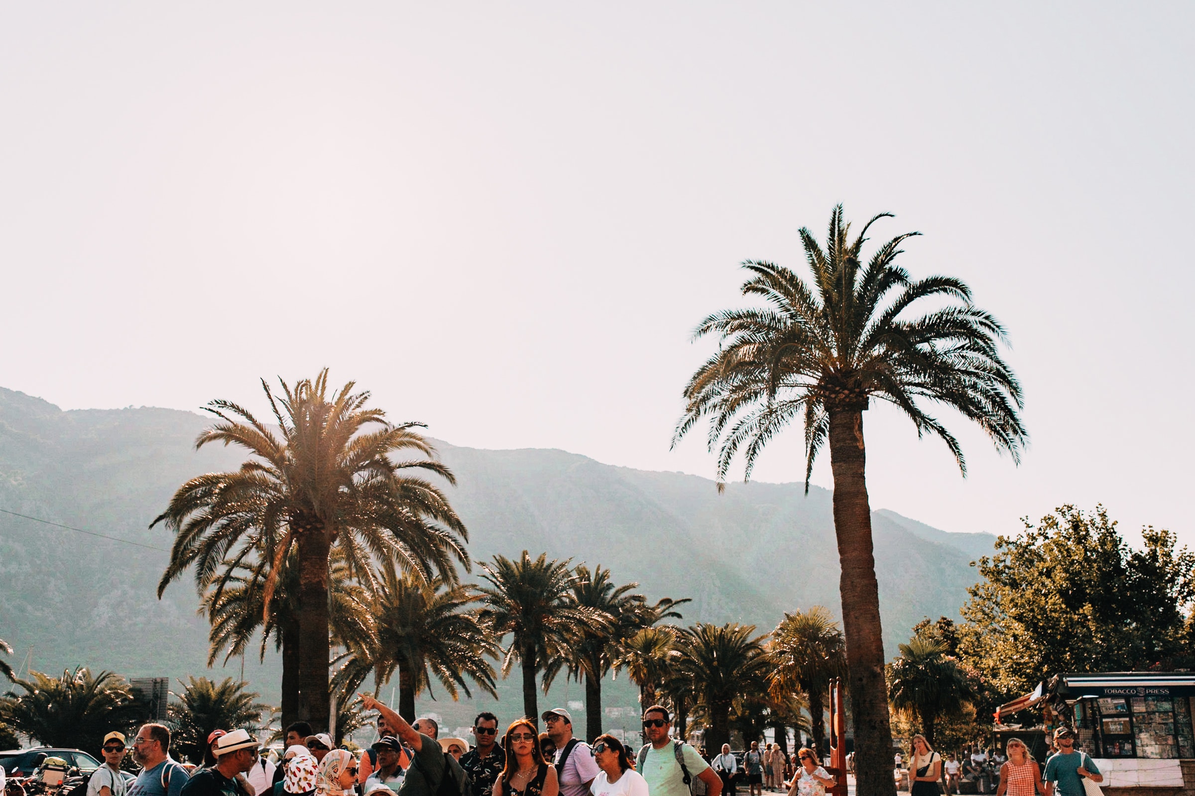 Menschen unter Palmen, sonniger Touristenort.