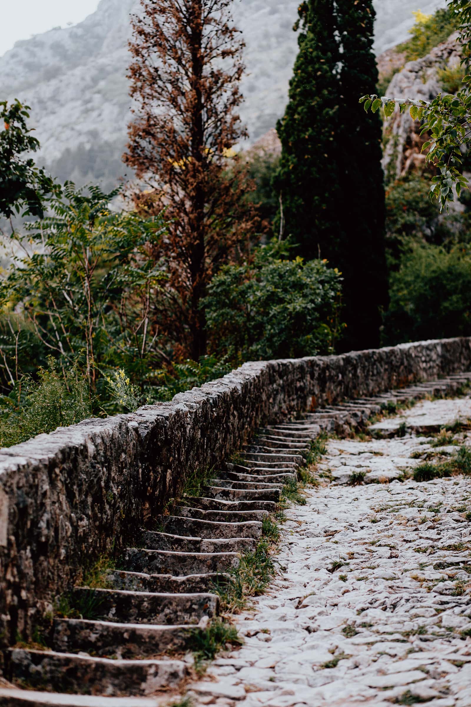 Steintreppe in naturbelassener Landschaft