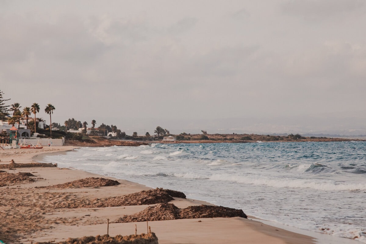 Strand mit Palmen und Wellen