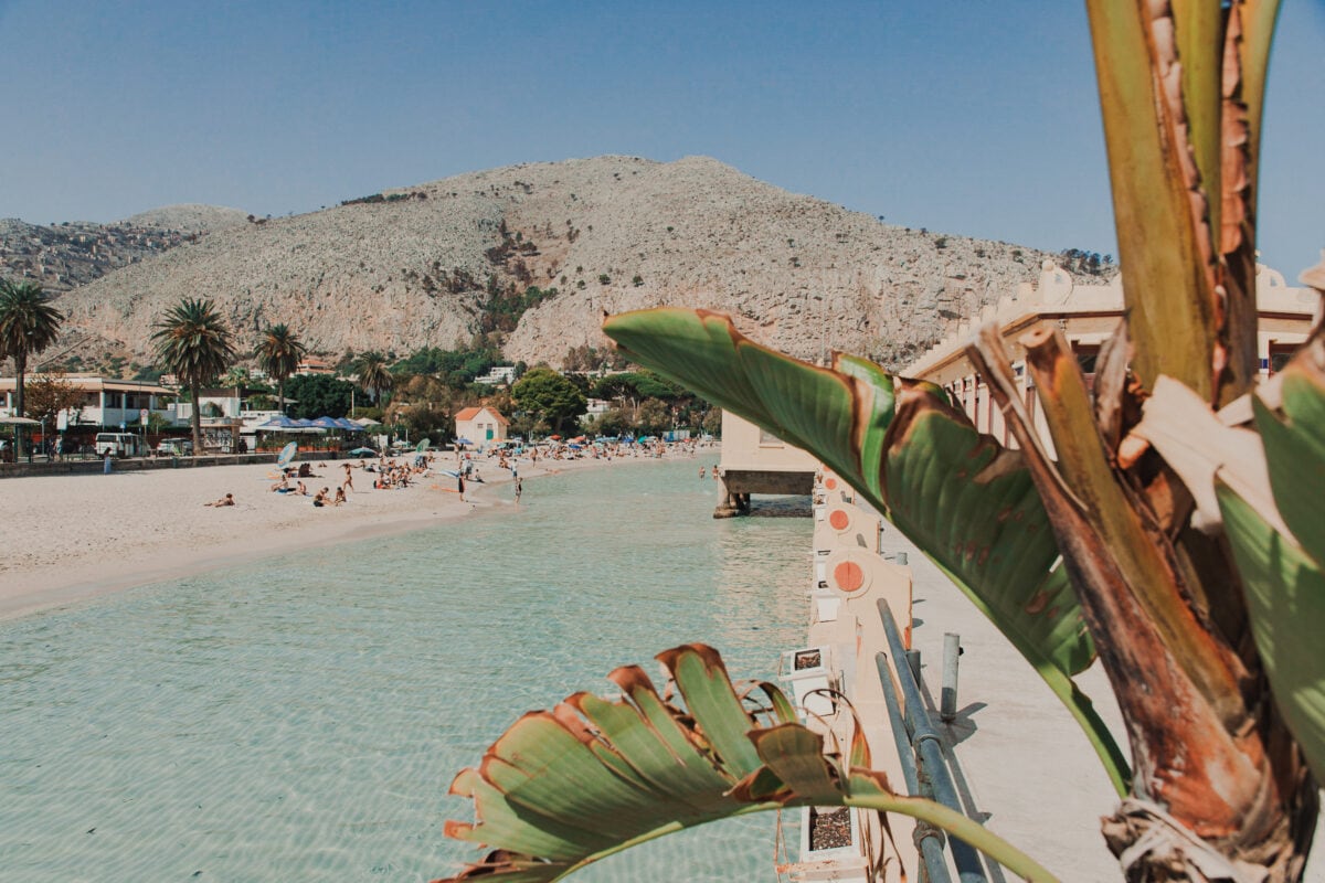 Strandpanorama mit Palmen und Bergen.