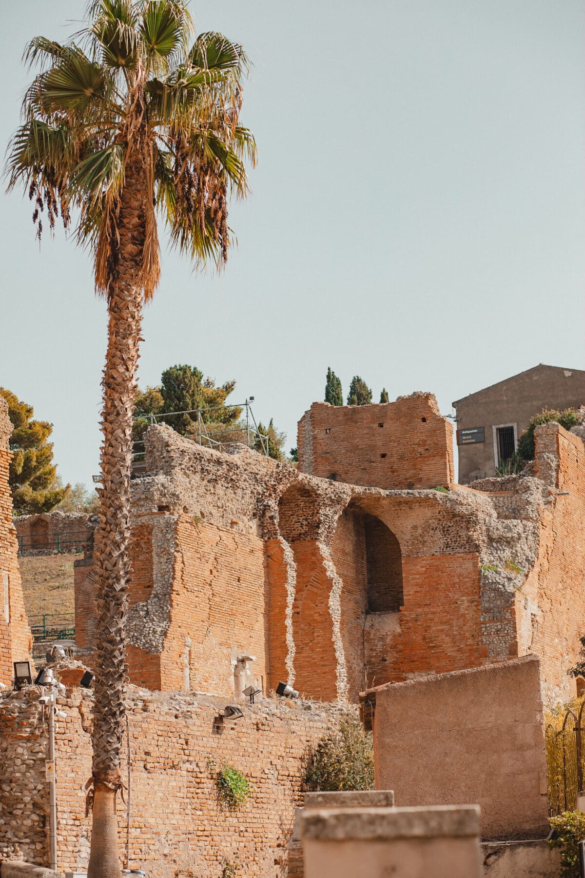 Alte Ruinen mit Palme