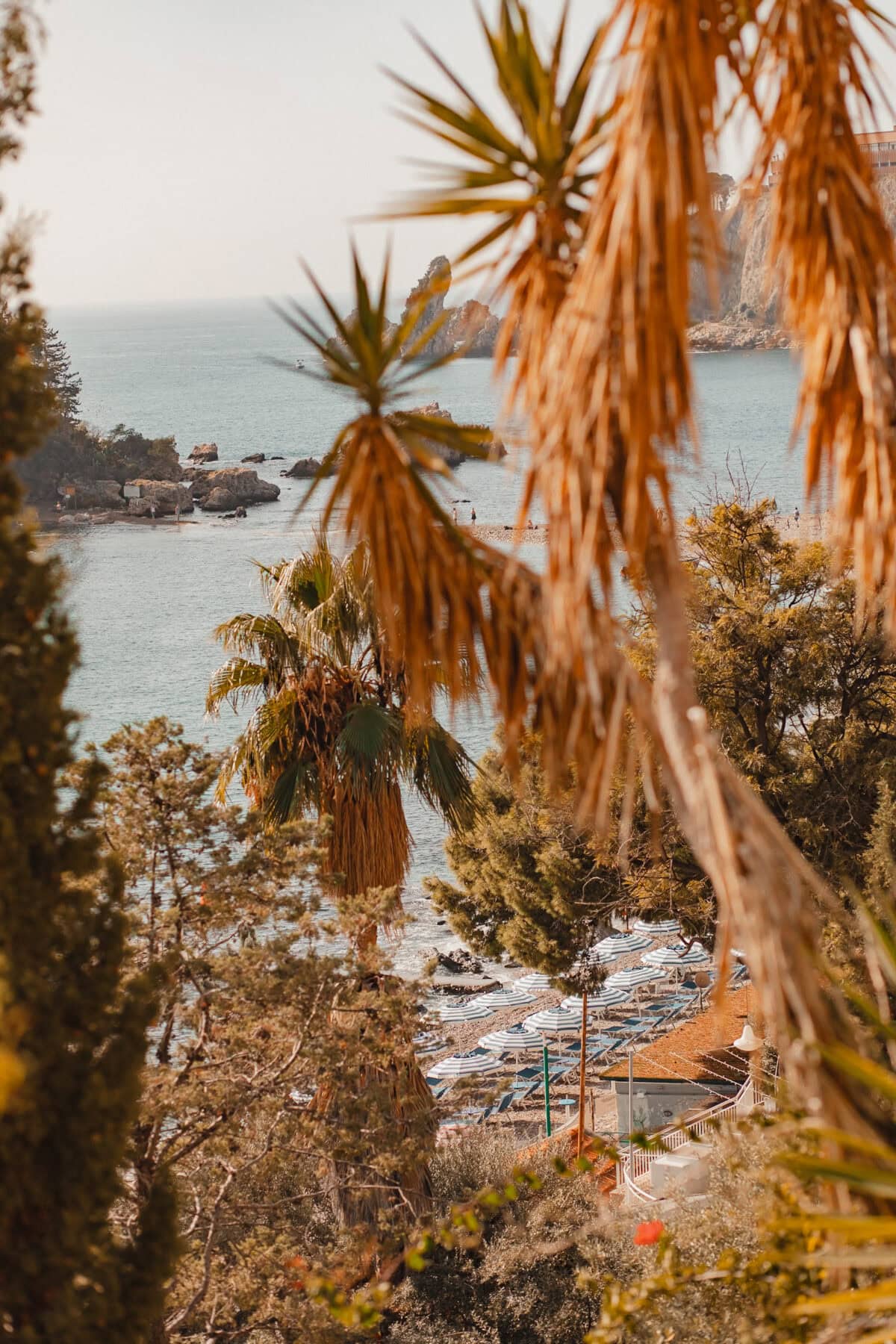 Strandblick durch Palmenblätter.