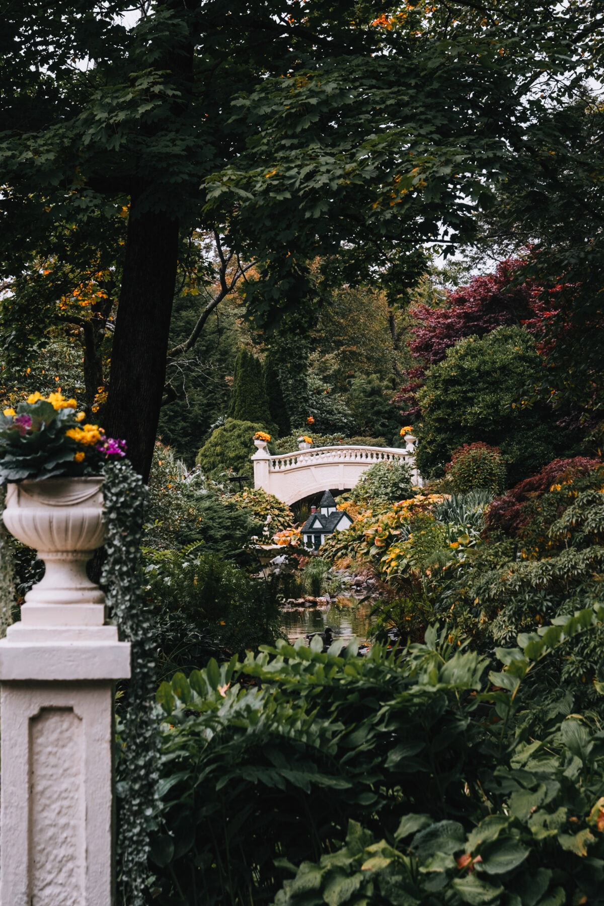 Romantische Gartenbrücke umgeben von üppigem Grün.