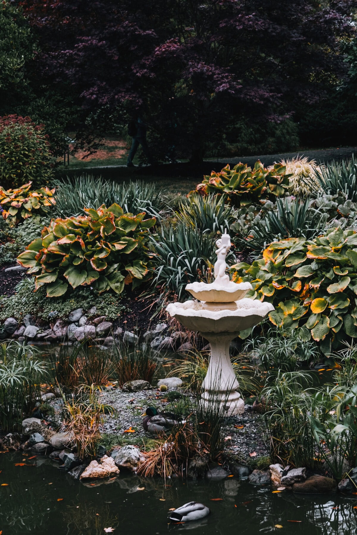 Garten mit Brunnen und Enten am Teich