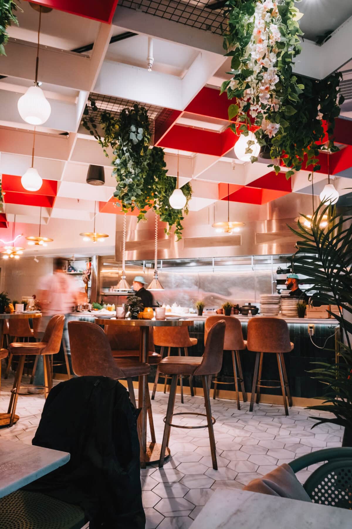 Moderne Restaurantküche mit hängenden Pflanzen.