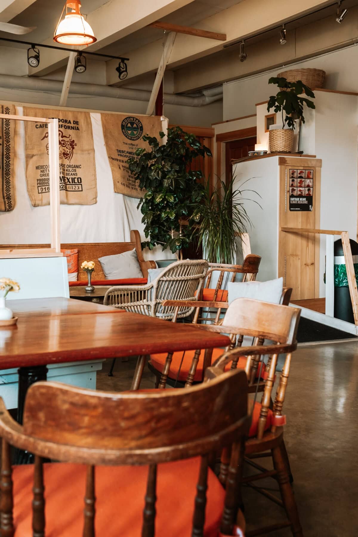Gemütliches Café-Interieur mit Holzmöbeln und Pflanzen.