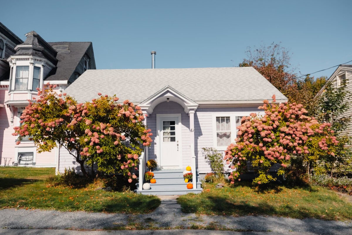 Kleines Haus mit blühenden Büschen
