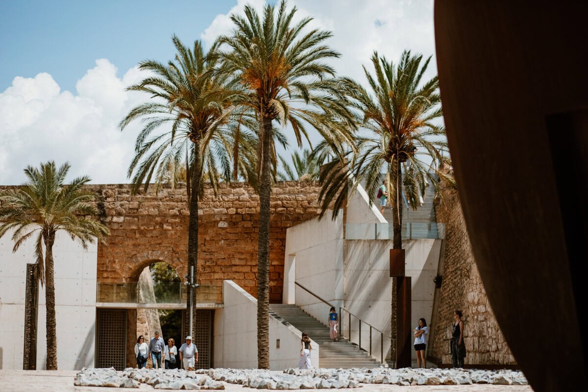 Palmen und antike Steinmauer in sonniger Umgebung