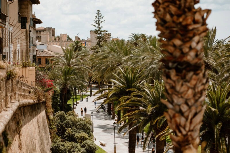Palm-lined walkway in a Mediterranean cityscape.